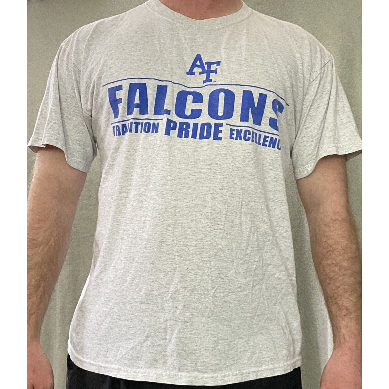 AIR FORCE FALCONS Gildan Gray Men’s Large Heavy Cotton T-shirt