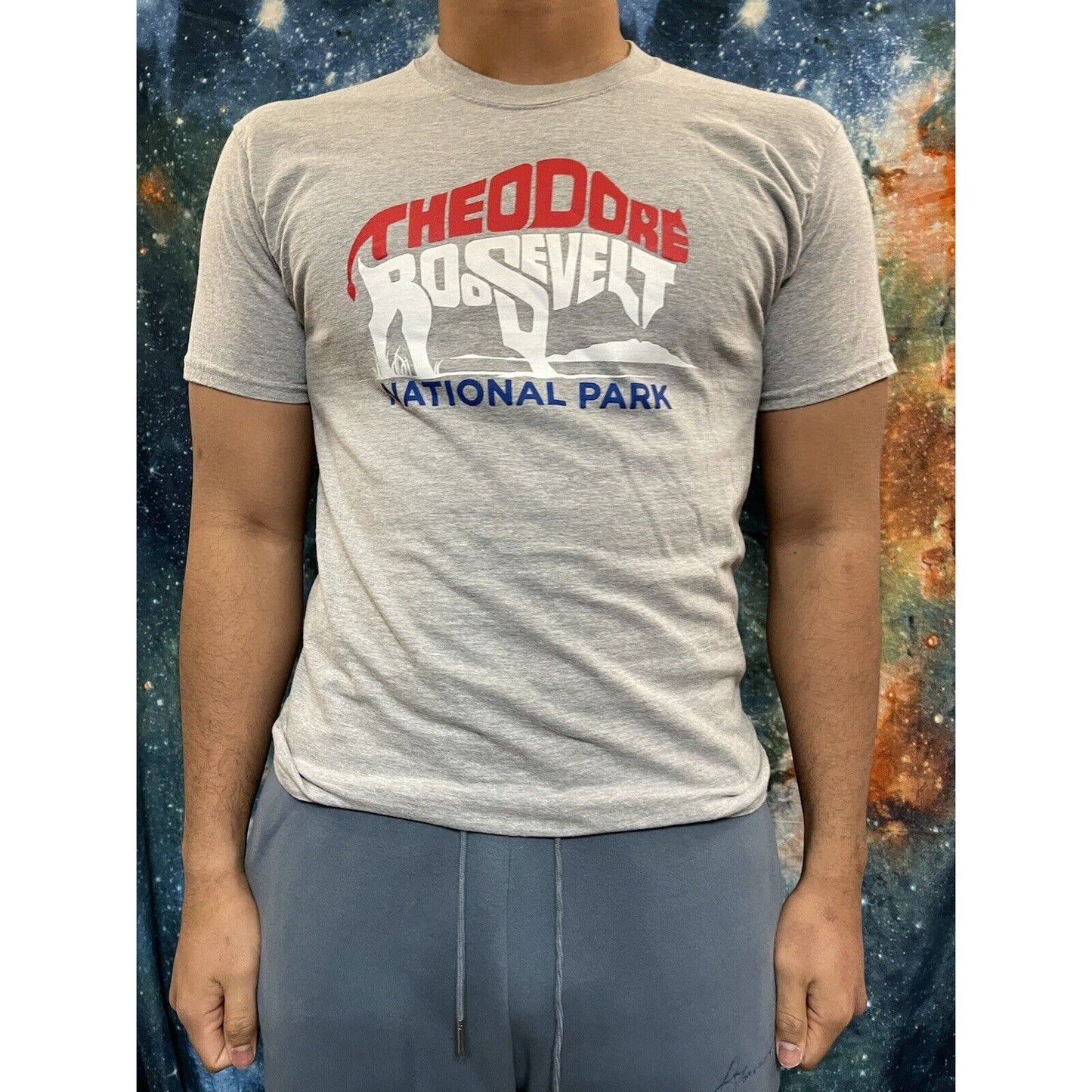 Theordore Roosevelt National Park Gray Hanes Medium t-shirt short sleeve