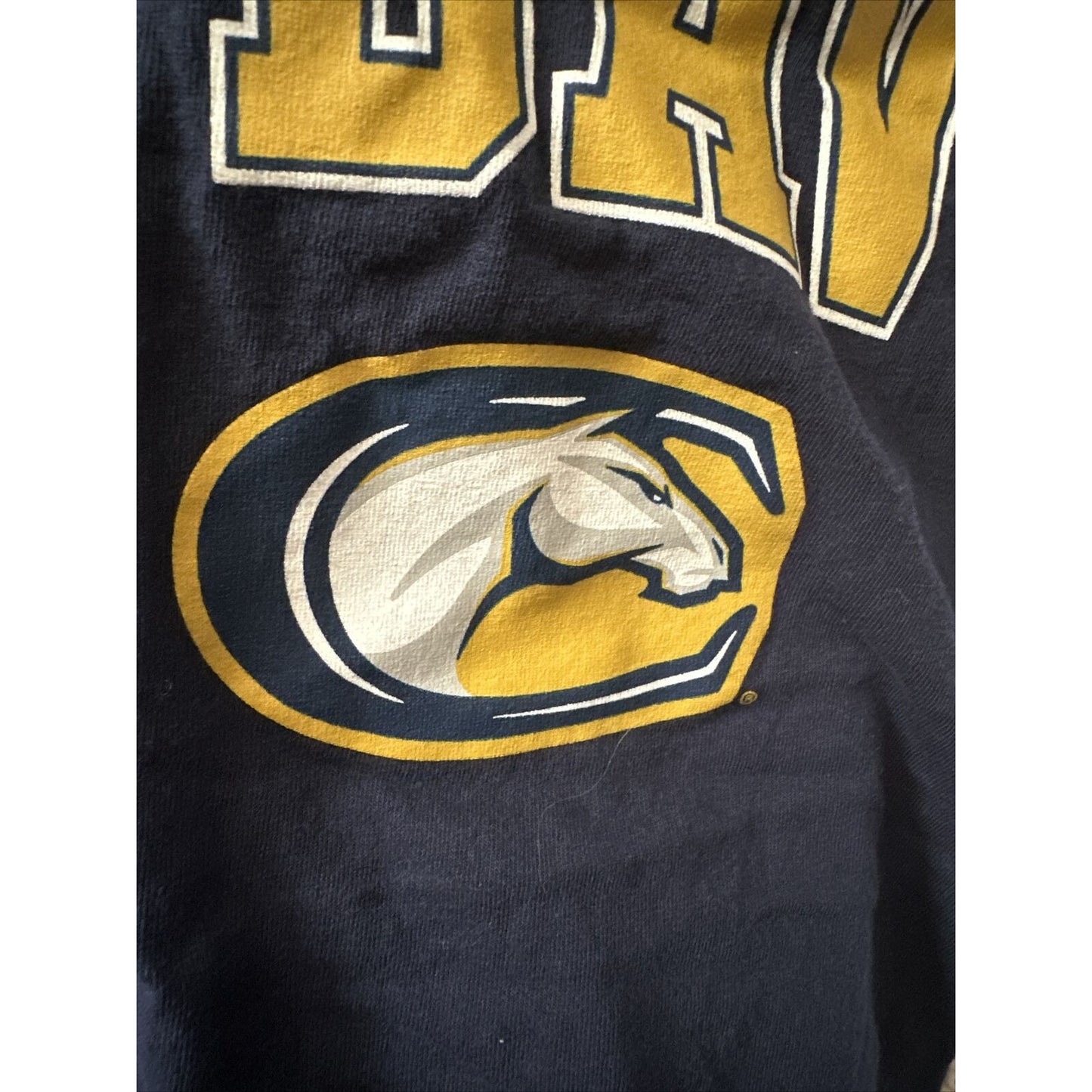Men‘s Dark Blue Fantastics Large UC Davis University Of California Tshirt