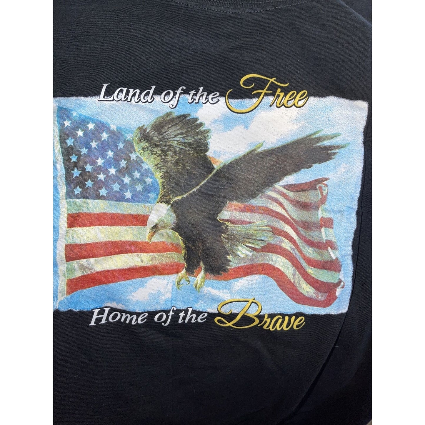men's black t-shirt land of the free home of the brave large t-shirt patriotic