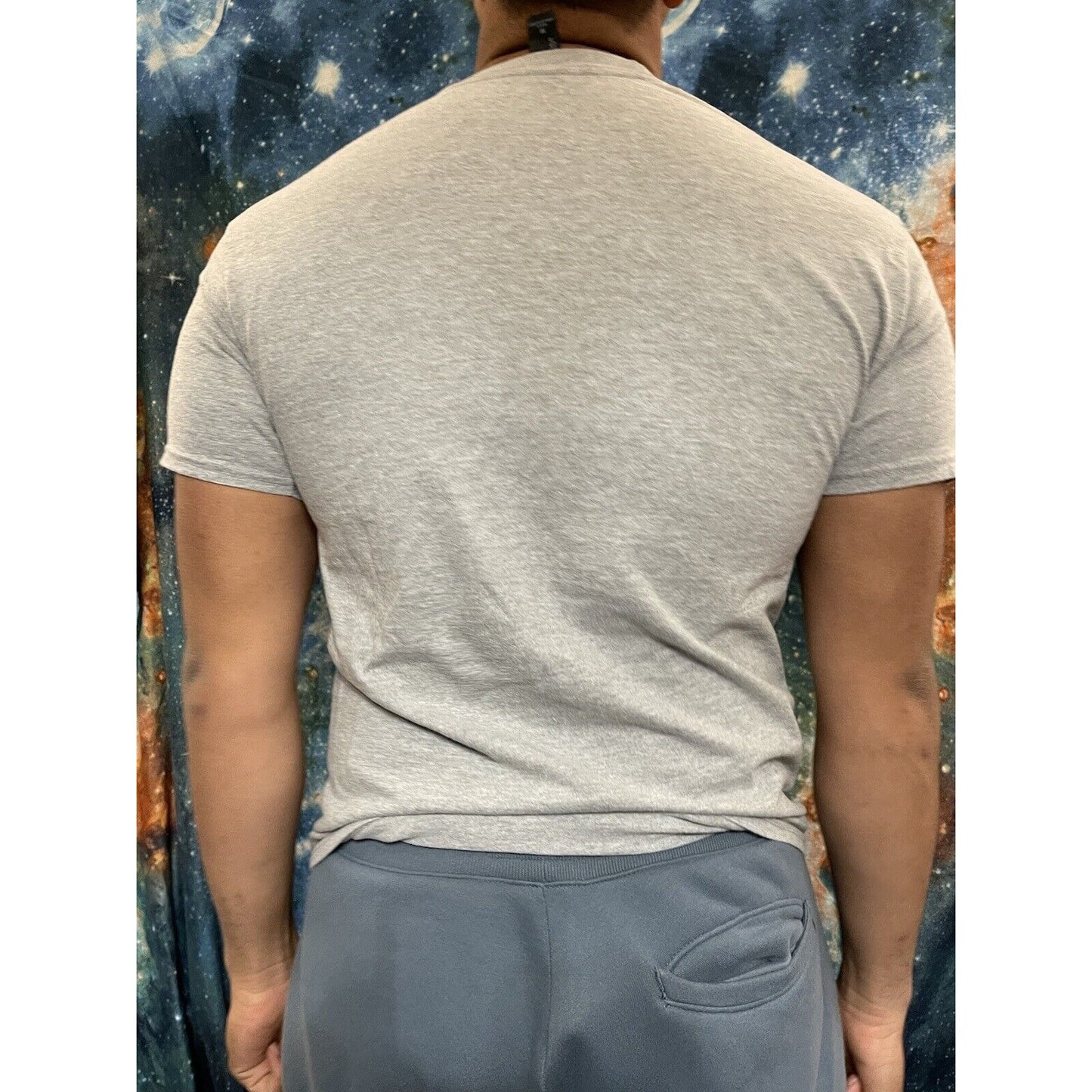 Theordore Roosevelt National Park Gray Hanes Medium t-shirt short sleeve