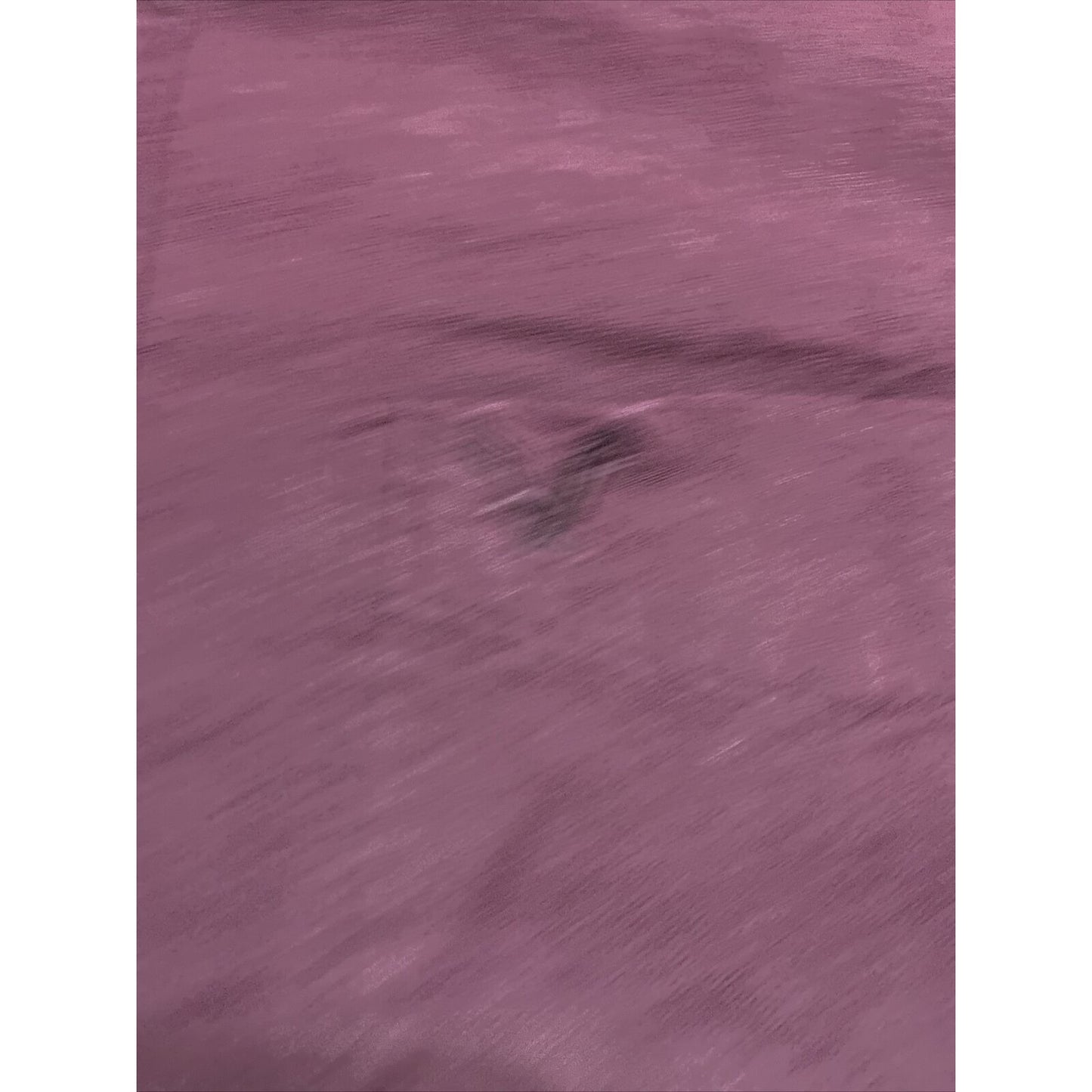 American Eagle Outfitters Men’s Medium Plum Button-down Classic Fit Long Sleeves