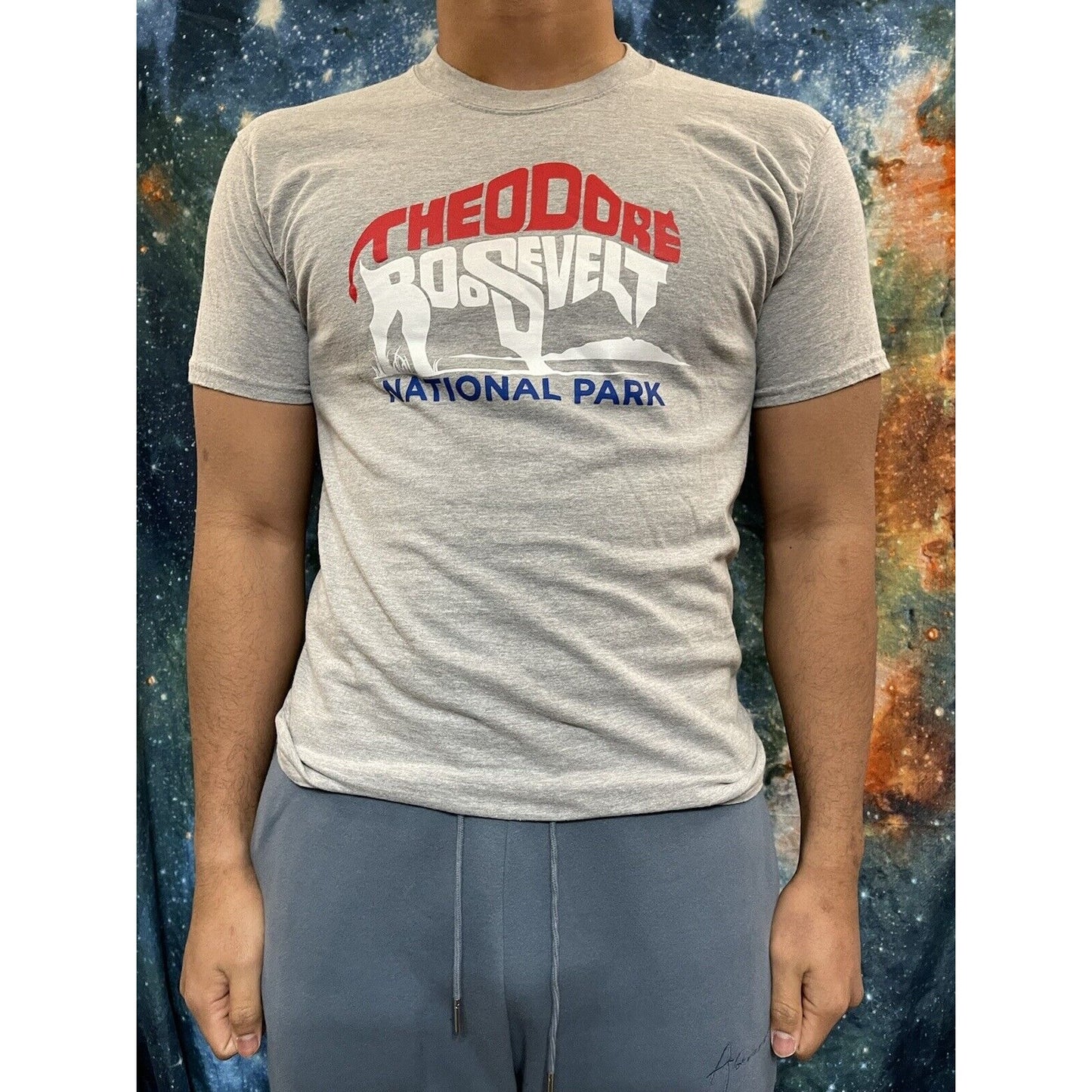 Theordore Roosevelt National Park Gray Hanes Medium t-shirt short sleeve