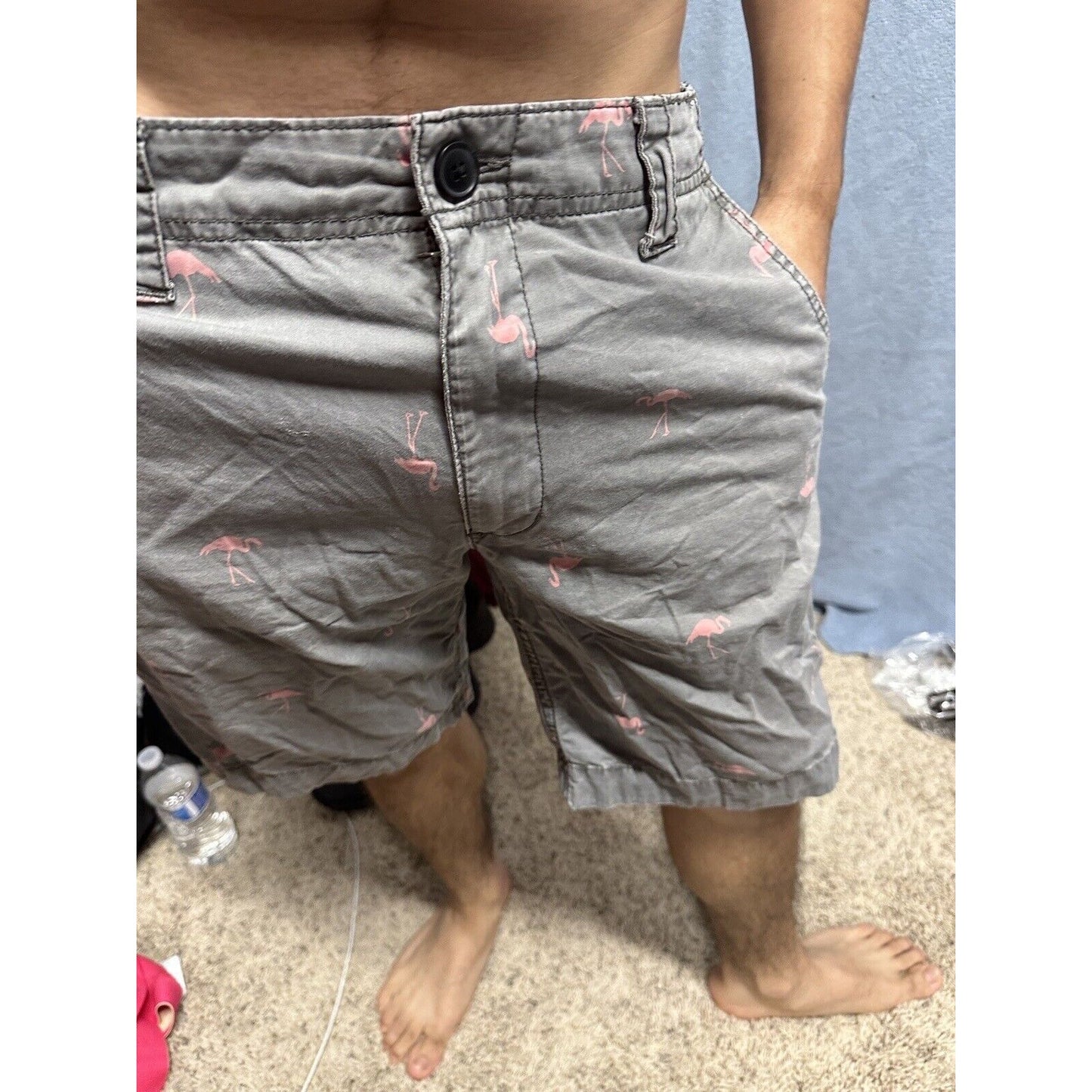 Men’s Gray Flamingo Aeropostale Shorts Size 32