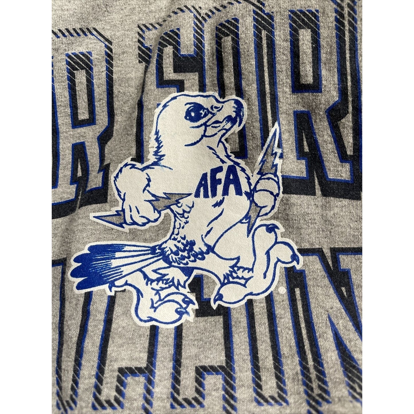 Men's Chanpion XXL Gray Air Force Academy Falcons pullover hoodie