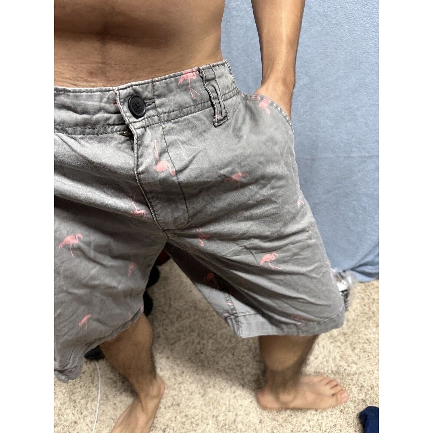 Men’s Gray Flamingo Aeropostale Shorts Size 32