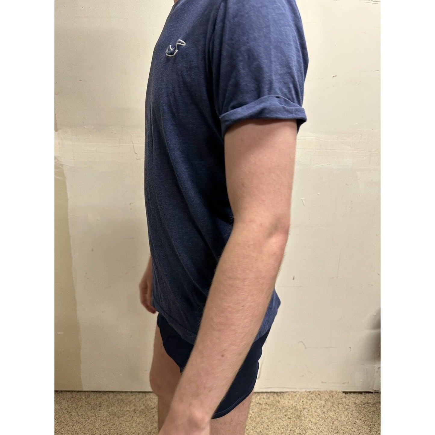 men’s hollister medium steel blue short sleeve tshirt