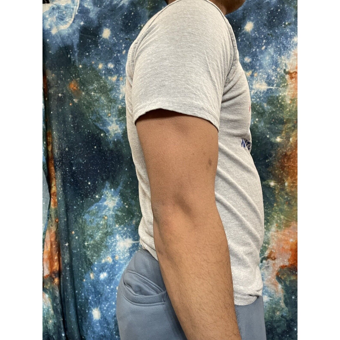 Theordore Roosevelt National Park Gray Hanes Medium t-shirt short sleeve