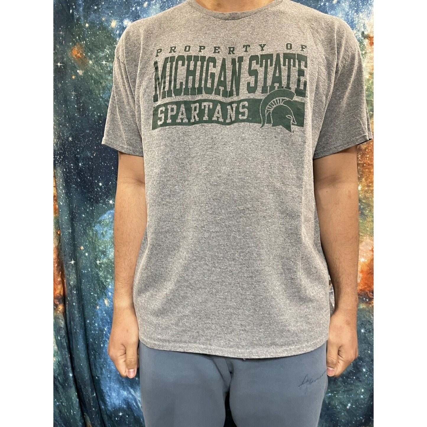 Men’s large gray michigan state spartans t-shirt