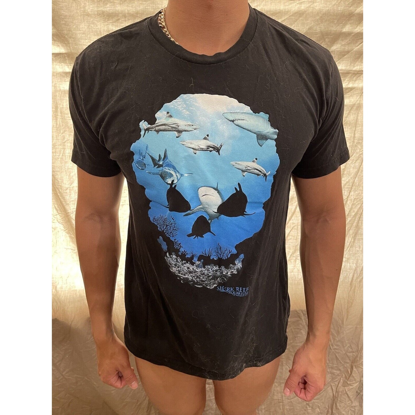 men's black medium mandalay bay las vegas sharks t-shirt