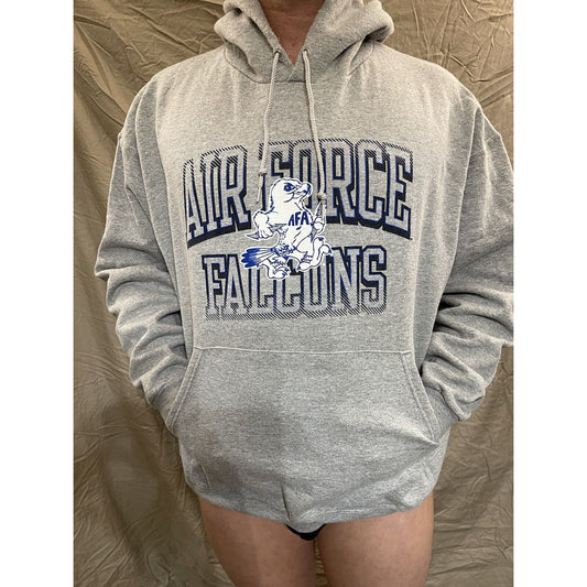 Men's Chanpion XXL Gray Air Force Academy Falcons pullover hoodie