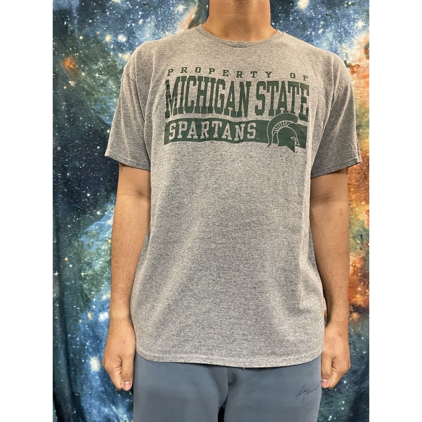 Men’s large gray michigan state spartans t-shirt