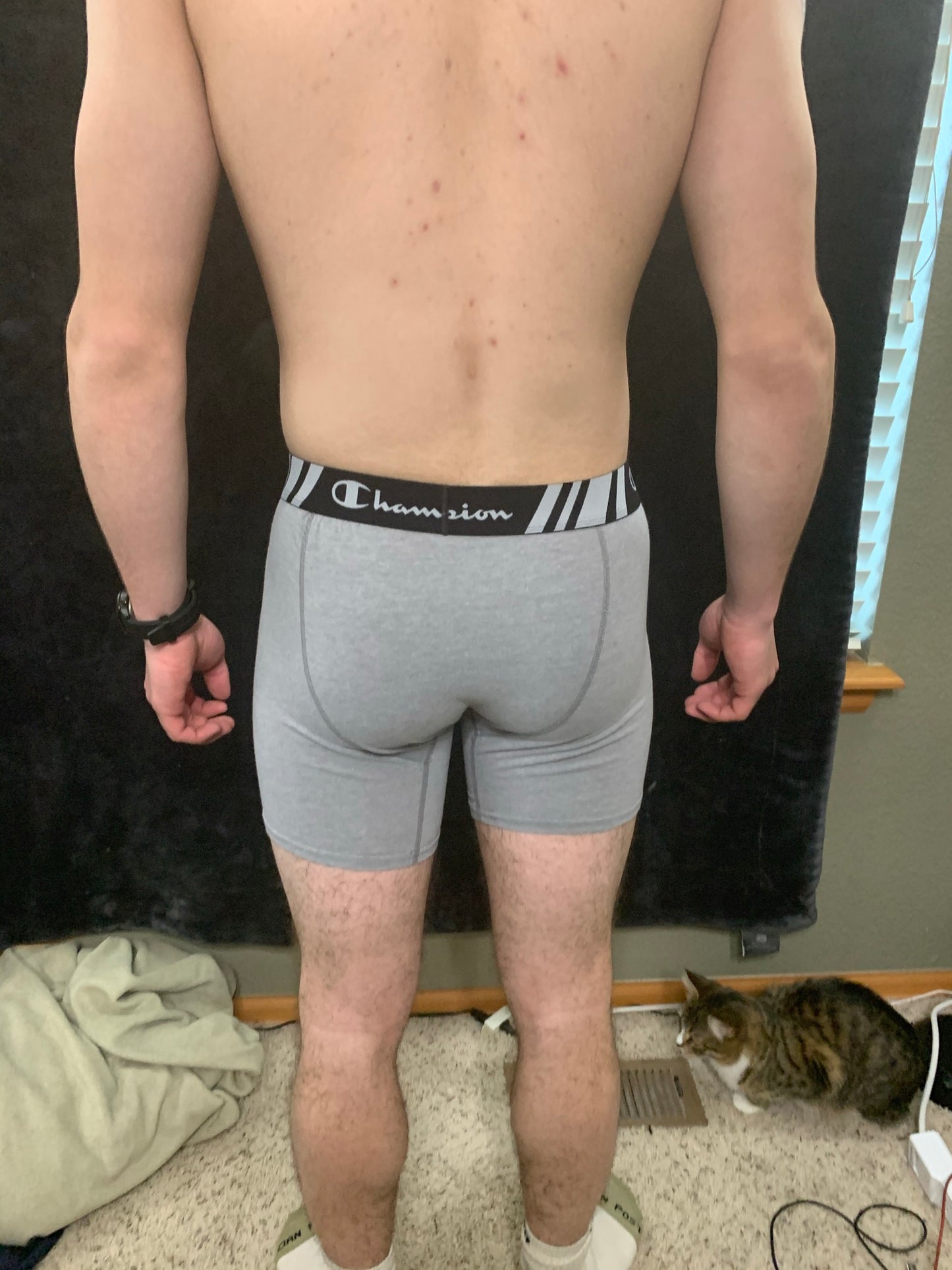 Men's Champion Boxer Briefs Black or Gray