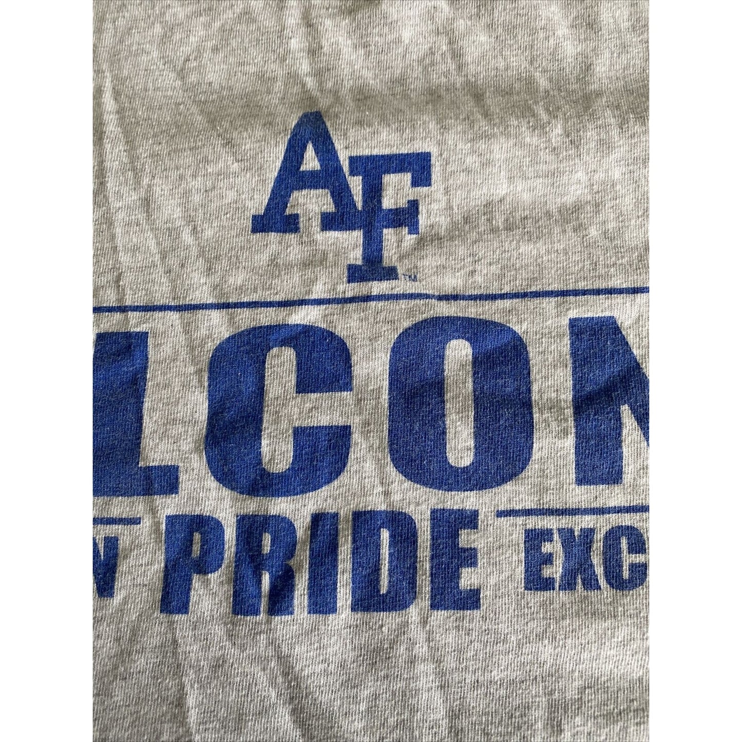 AIR FORCE FALCONS Gildan Gray Men’s Large Heavy Cotton T-shirt