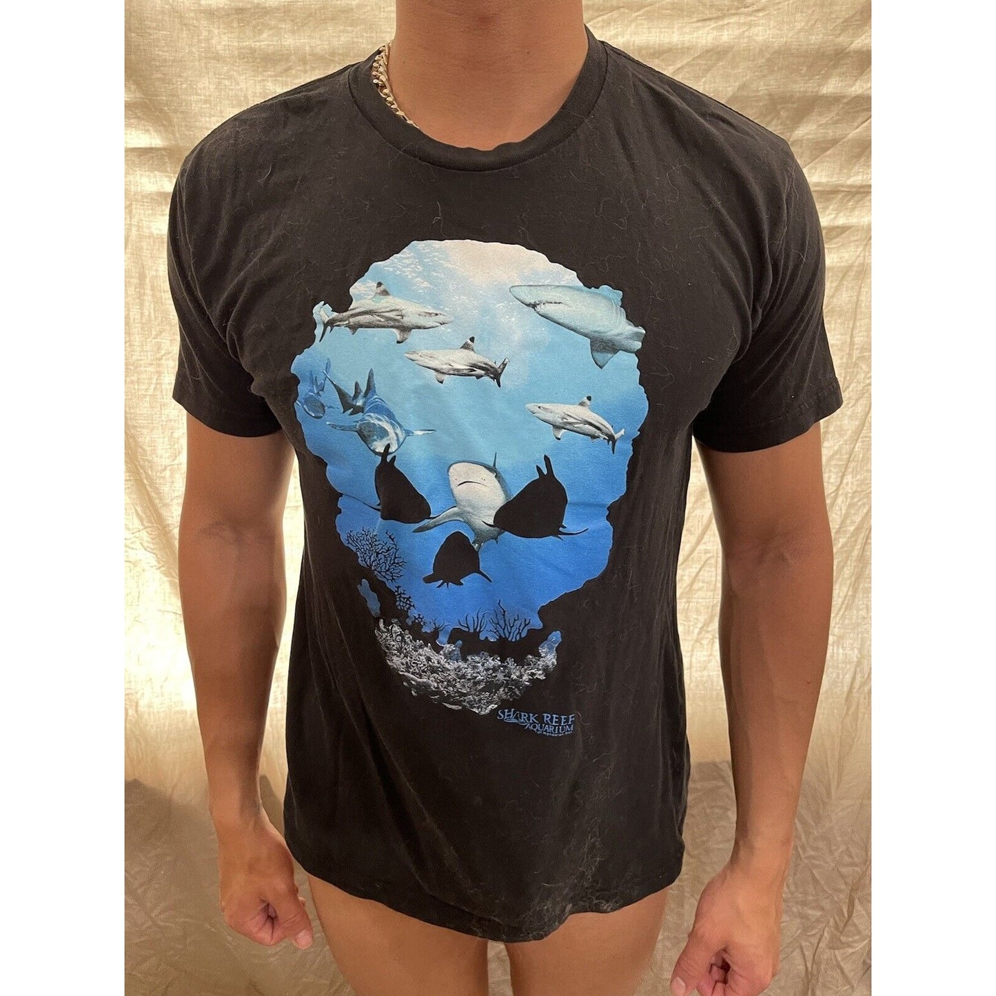 men's black medium mandalay bay las vegas sharks t-shirt